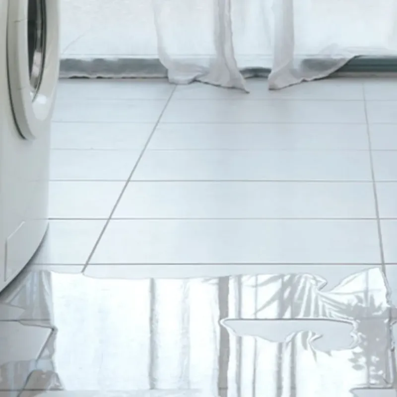 Appliance Leak Cleanup in Saint Gabriel, LA