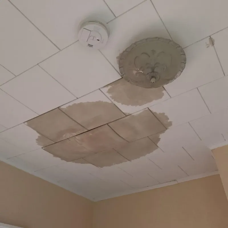 Ceiling Water Damage Repair in Saint Gabriel, LA