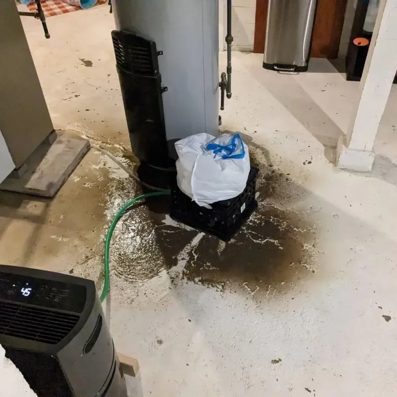 Sewage Backup Cleanup Service in Saint Gabriel, LA